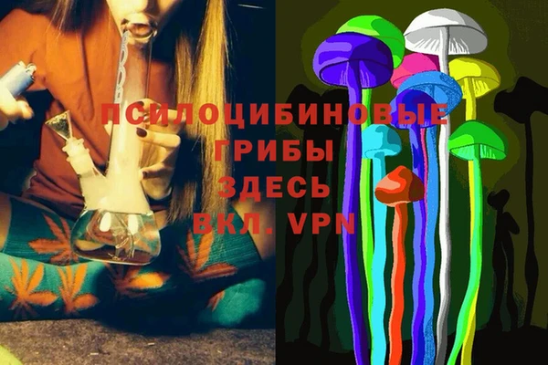 spice Алексин
