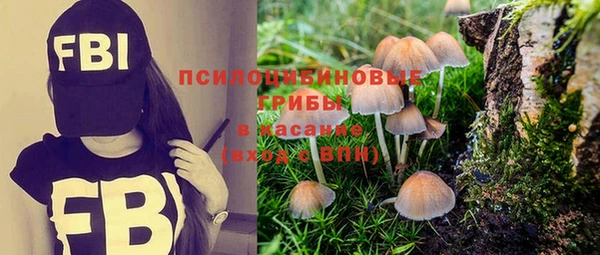 МДПВ Аркадак