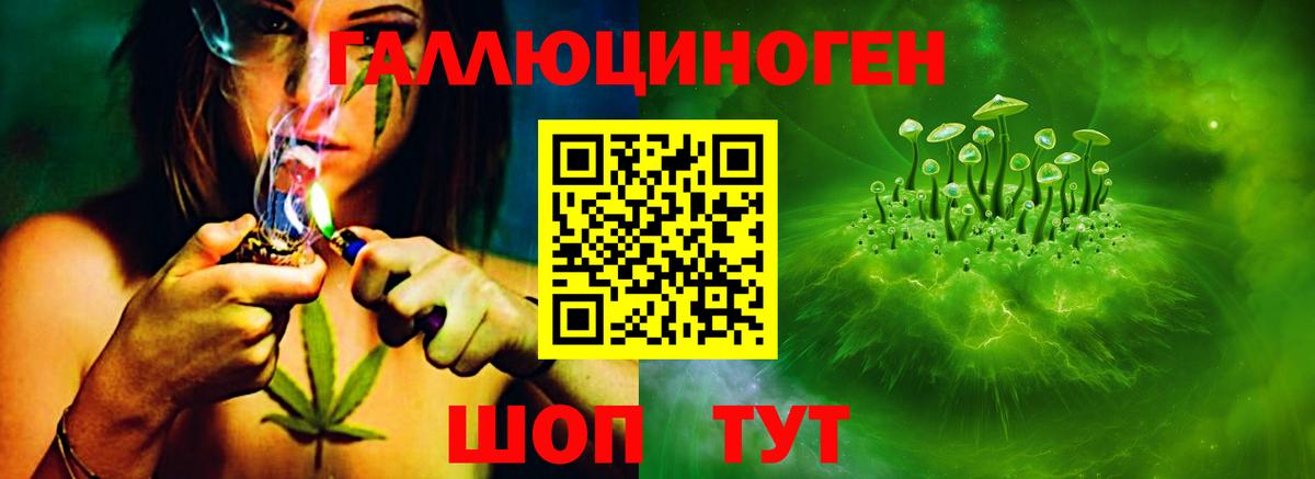 Псилоцибиновые грибы Cubensis  Галлюциногенные грибы GOLDEN TEACHER  Дедовск  Вход с VPN 